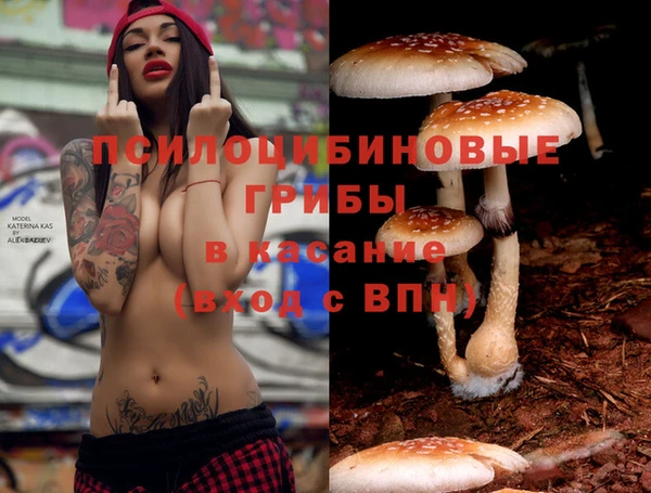 MDMA Premium VHQ Зеленодольск
