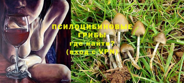 MDMA Premium VHQ Зеленодольск