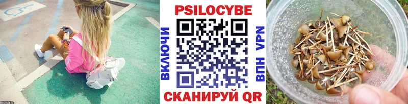 цена наркотик  Калачинск  Псилоцибиновые грибы Psilocybe 